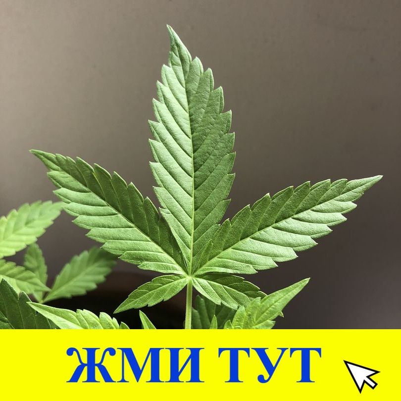 Купить наркотики в Семёнове